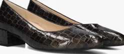 GABOR e pumps 431.,1 bruin New