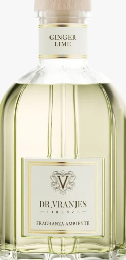 DR. VRANJES FIRENZE geurstokjes ginger lime diffuser 1250ml kleur n.v.t. Best